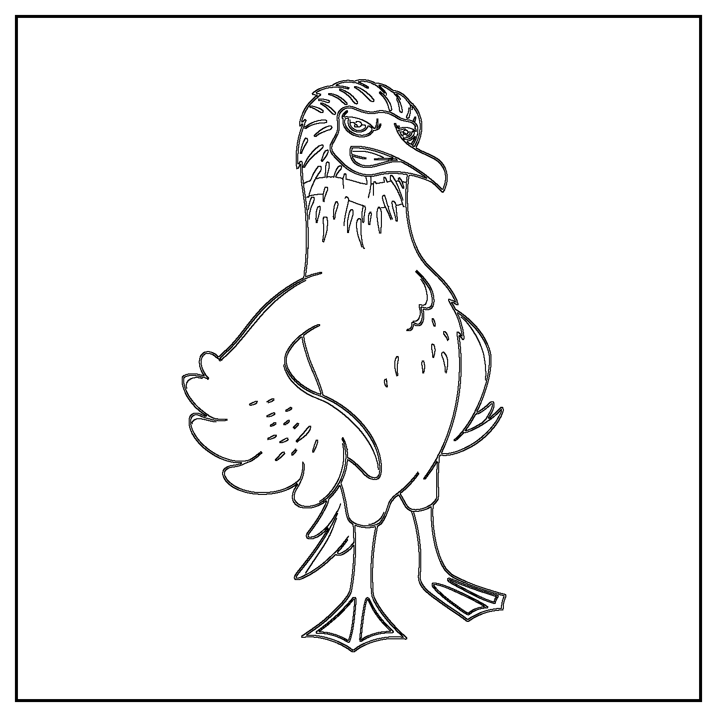 Blue-footed Booby Coloring Page